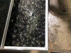-大理.老字号渝记酸萝卜乌鱼(古城总店)