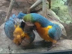 景点-福州罗源湾海洋世界旅游区