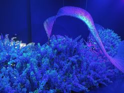 -格乐利雅婚礼艺术中心(南外滩店)