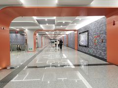 -四川大学(望江校区)