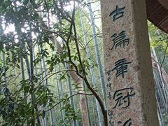 -严子陵钓台(富春江小三峡)