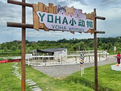-军山湖云水间水上餐厅(进贤店)