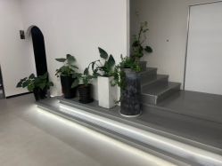 -蚂蚁造型俱乐部