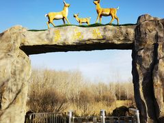 -野鸭湖国家湿地公园