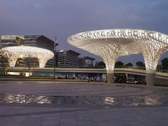 -宝安西湾红树林湿地公园