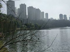 -重庆彩云湖湿地公园