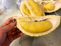 -都念榴莲·城市榴莲