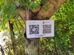 -风云岭森林公园