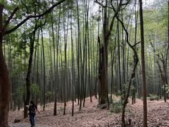 -虞山风景区