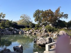 -阳澄湖半岛旅游度假区
