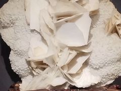 -湖南省地质博物馆