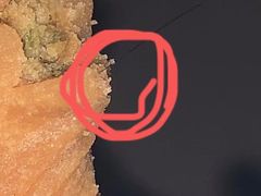 -桂发祥·直营(万德庄大街店)