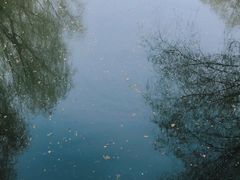-上海滨江森林公园