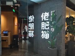 -佬肥猫(周浦万达店)