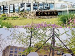 -府河摄影公园