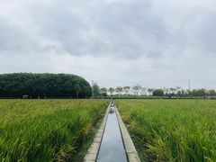 -嘉北郊野公园