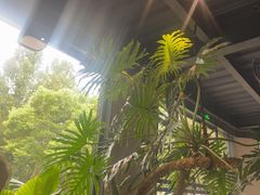 -J Create城市露营咖啡·简餐·宠物(上海动物园店)