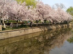 -海棠花溪(元大都城垣遗址公园)