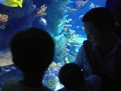 -多彩贵州城极地海洋世界