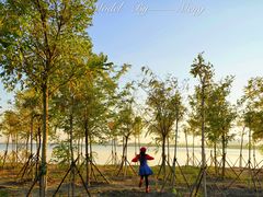 -天津东丽湖风景区