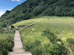 -白草畔自然风景区