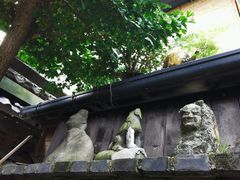 -恺庐茶园(宽窄巷子景区店)