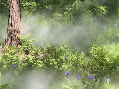 -北京西山国家森林公园