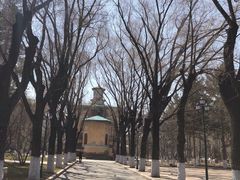 -哈尔滨文化公园