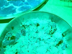 -合易泓烤肉•首创生椰大油边(宁山路店)