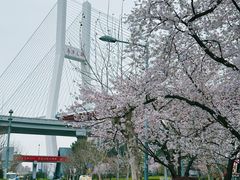 -南浦大桥长途旅游客运站