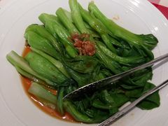 葱油油菜苔-西贝(上海中心店)