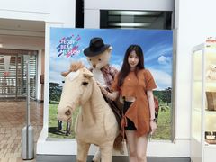 -济州岛泰迪熊博物馆