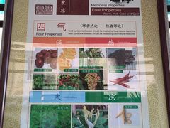-广州神农草堂中医药博物馆