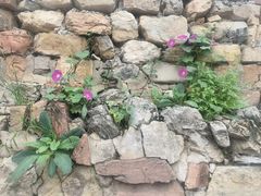 -北京山里寒舍度假酒店