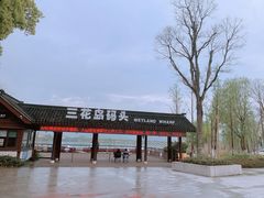 -长田漾湿地公园