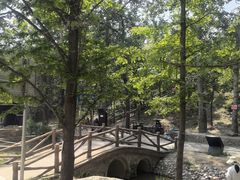 -白水寺森林公园