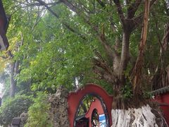 -白帝城·瞿塘峡景区