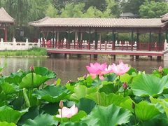 -西海子公园