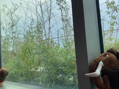 -祖母的厨房美式西餐厅(北京坊店)