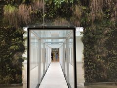 -金泽21世纪美术馆