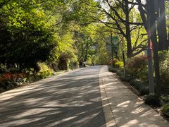 -阿哈湖国家湿地公园