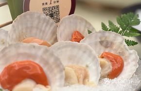 Korean Large Scallop