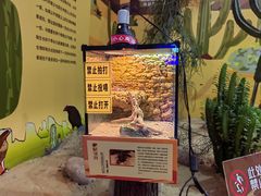 -松江科技馆