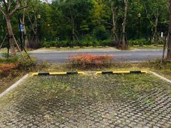 -上海浦江郊野公园-2号停车场