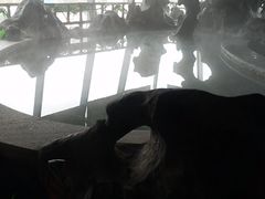 -汤乐汇•足道•SPA生活馆