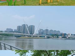 -映月湖中央公园