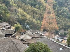 -林坑古村落
