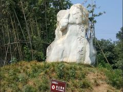 -习家池