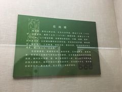 -亳州博物馆