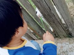 -乌村